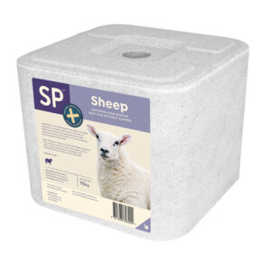 Sp Sheep